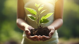 Two hands holding a small plant on a blurred green sunny background. Earth Day and Ecology concept. Generative AI