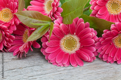 pink gerbera flowers on wooden background.