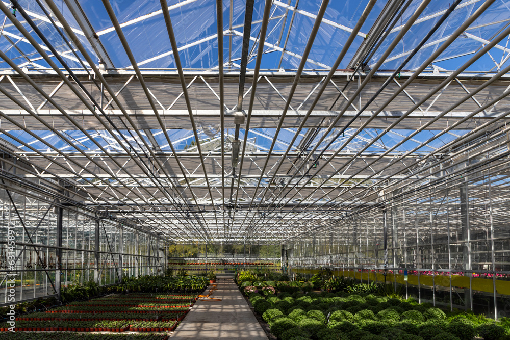Huge industrial greenhouse. Glass structures, sky.