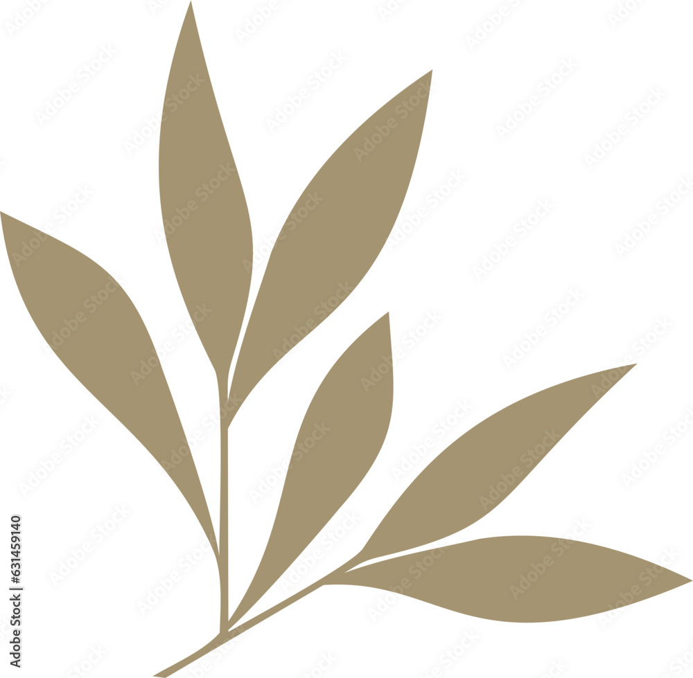 Flat Leaves Vector & Illustrations