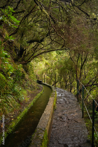 Path next to water channel