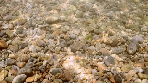 Close-up of coastal underwater seascape with pebble bottom in sun glare. Under water view of rocky seabed on sunny day. Natural background of pebbly bottom in shallow water in sunbeams photo