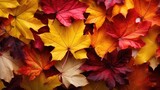 Background from colorful autumn maple leaves