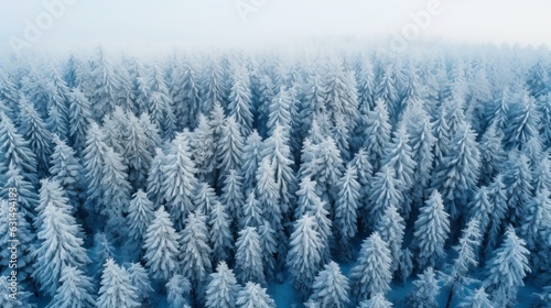 Drone photo of snow covered evergreen trees after a winter blizzard in Lithuania Generative AI
