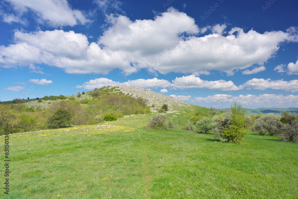 Naklejka premium Beautiful spring nature landscape