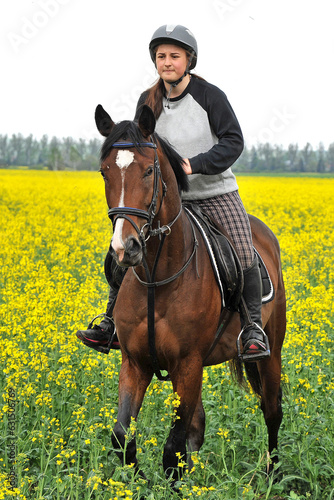 Purebred horse with rider on a rapeseed field outdoors in rural scene