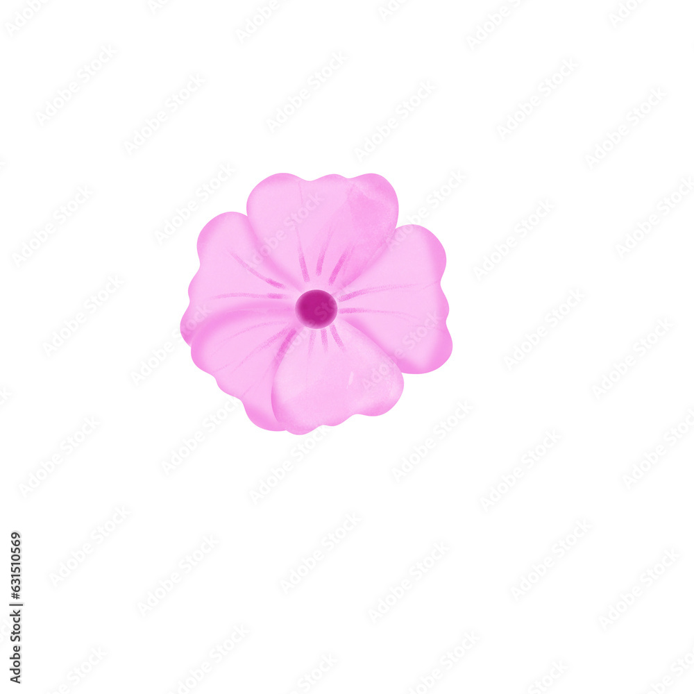 Flowers Flowers