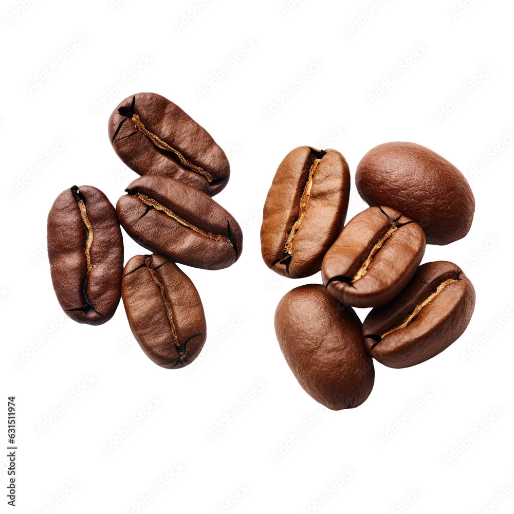 Comparative features of Arabica and Robusta coffee beans, isolated on white with clipping path.