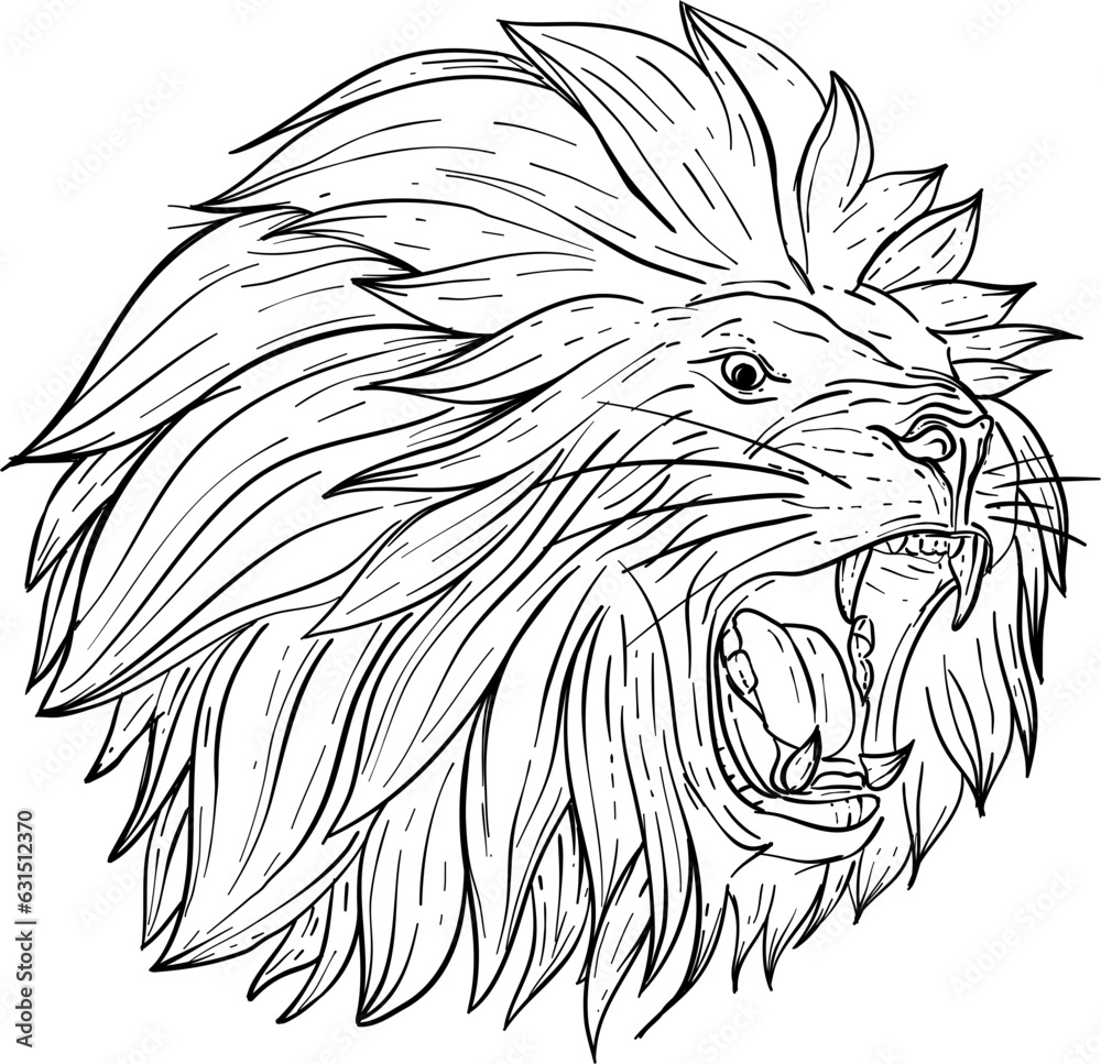 Roaring Lion Head Hand Drawn Illustration Vector Roaring Lion Head Hand Drawn Illustration Vector