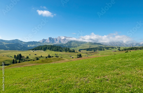 bucolic and relaxing image of the beautiful nature of the Dolomites in summer