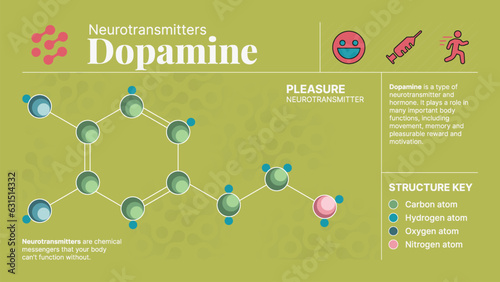 Dopamine Neurotransmitter Hormone Chemical  Structure -A Visual Vector Infographic Design