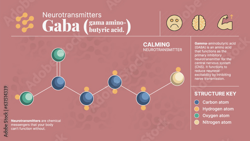 Gaba (Gama Aminno Butyric Acid ) Neurotransmitter Hormone Chemical  Structure -A Visual Vector Infographic Design photo
