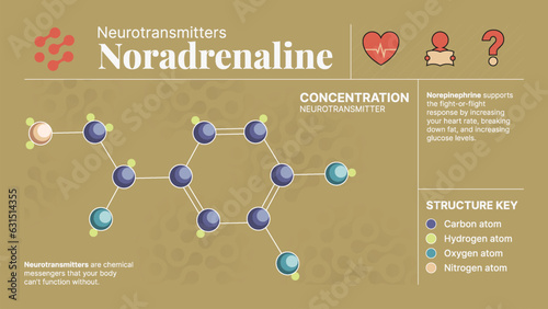 Noradrenaline Neurotransmitter Hormone Chemical  Structure -A Visual Vector Infographic Design