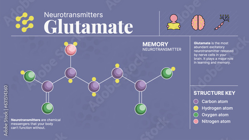 Glutamate Neurotransmitter Hormone Chemical  Structure -A Visual Vector Infographic Design