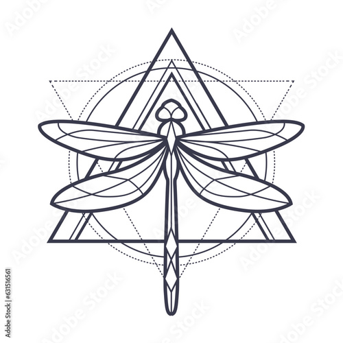 Abstract dragonfly with geometrical background, vector illustration