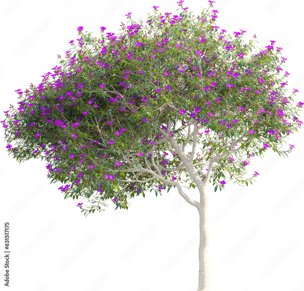 Obraz premium Side view of tree full of flowers