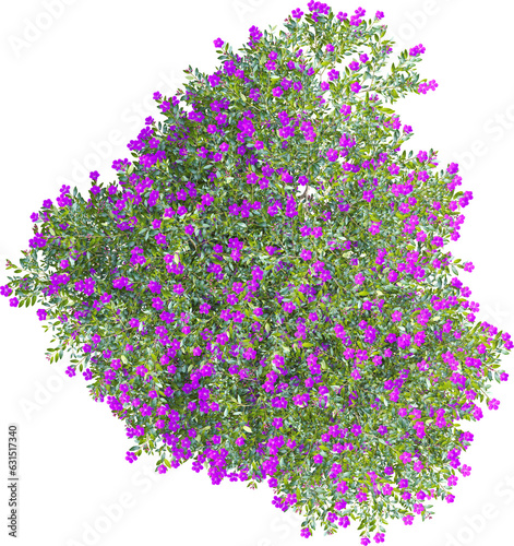 Fototapeta Naklejka Na Ścianę i Meble -  Top view of tree full of flowers
