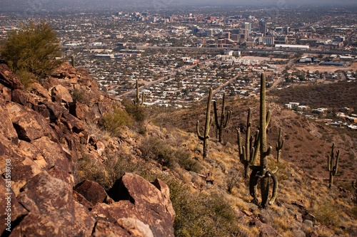Canvas Print Saguaros and downtown Tucson, Arizona from the top of Tumamac Hill