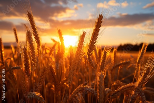 Sun-kissed Wheat Fields During The Golden Hour, Generative AI