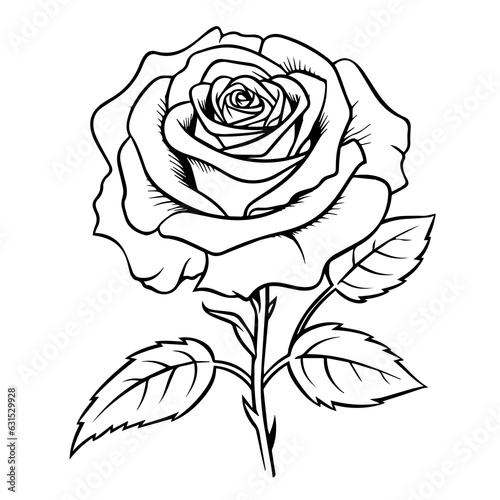 Rose coloring pages Png