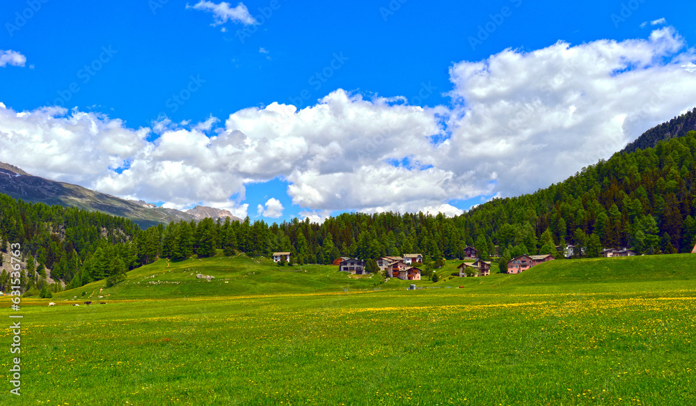 Blick auf die Bernina-Alpen im Schweizer Kanton Graubünden Blick auf die Bernina-Alpen im Schweizer Kanton Graubünden