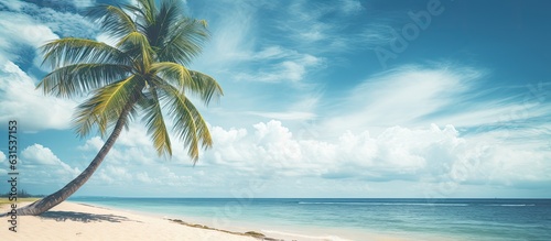 beach with a palm tree  a blue sky  and white clouds. It represents the concepts of summer vacation