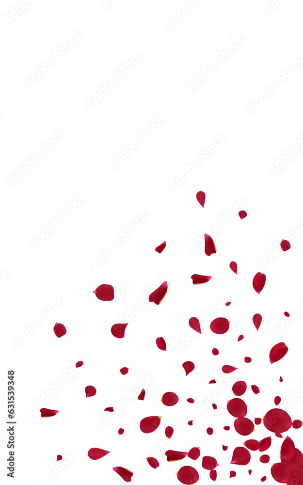 Delicate Sakura Tender Vector White Background.