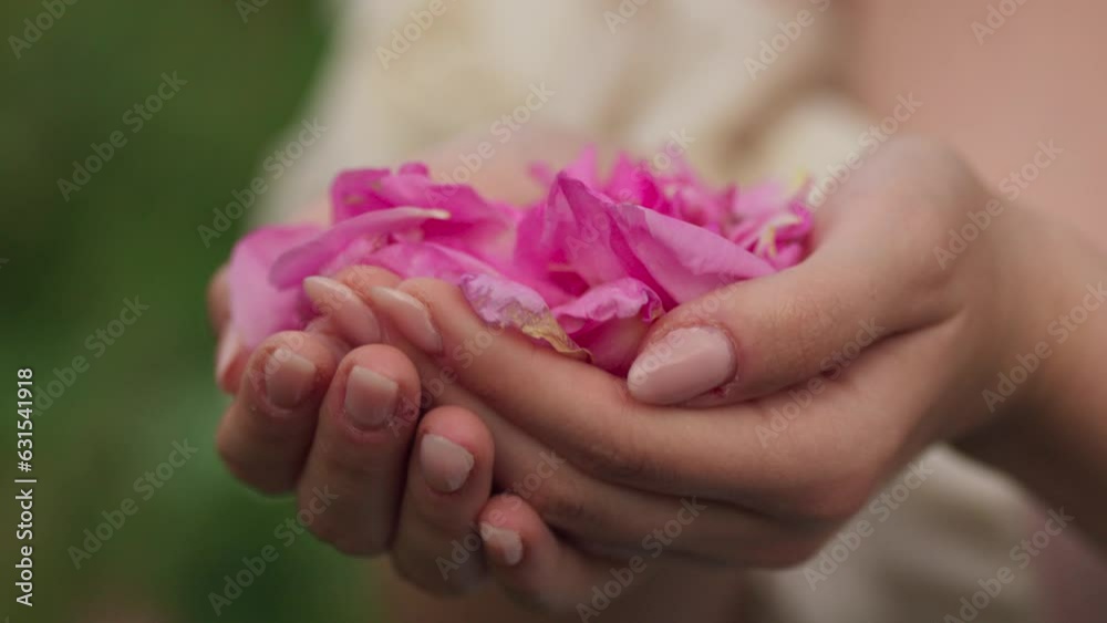 Close-up view of a woman holding rose petals in her palms and smelling