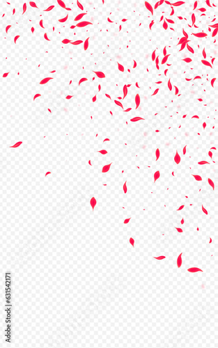 Red Blossom Vector Transparent Background. Fly