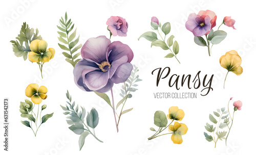 Watercolor pansy flowers bouquet collection. Vector viola spring floral set illustration. Summer bloom violet plant decoration elements