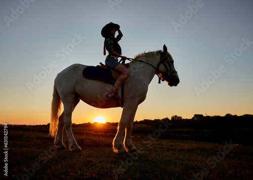 Cowboy silhouette on a horse during nice sunset.