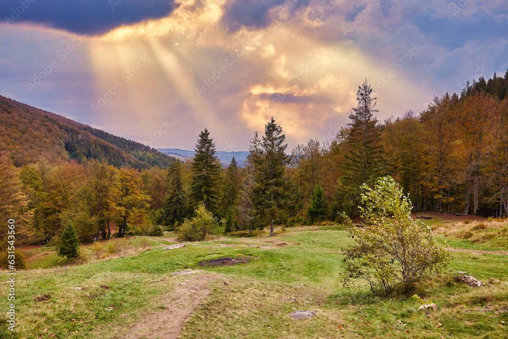 Serene Mountain Road Amidst Autumn Forest Serene Mountain Road Amidst Autumn Forest