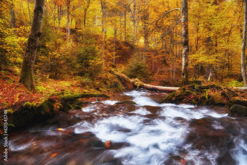 Autumn's Serenade: A Serene River Journey Through the Enchanting Forest