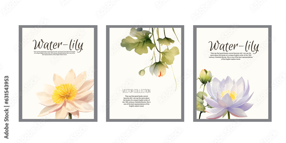 Watercolor lily isolated on white background, vector illustration. Oriental floral cards with pink lotus flowers for invitation