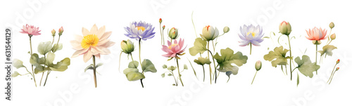 Water Lily Wedding Flower Clip Art Set - Watercolor Realistic Illustrations on White Background