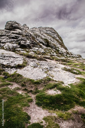 Landscape of the Haytor Rocks Dartmoor under a cloudy sky in Haytor Vale, England © Pez Photography/Wirestock Creators