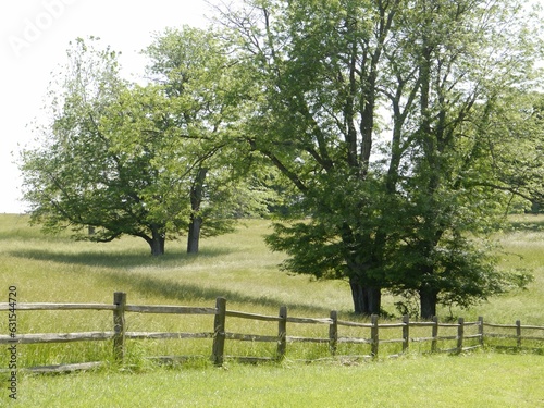 Serene rural scene of trees  grassy fields  and a wooden split rail fence in Missouri.