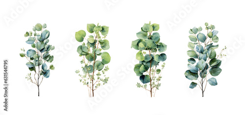Vector designer elements set collection of green forest fern, tropical green eucalyptus greenery art foliage natural leaves herbs in watercolor style.