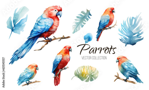 Tropical Exotic set parrots birds with flowers colorful on white background vector illustration. Watercolor parrot
