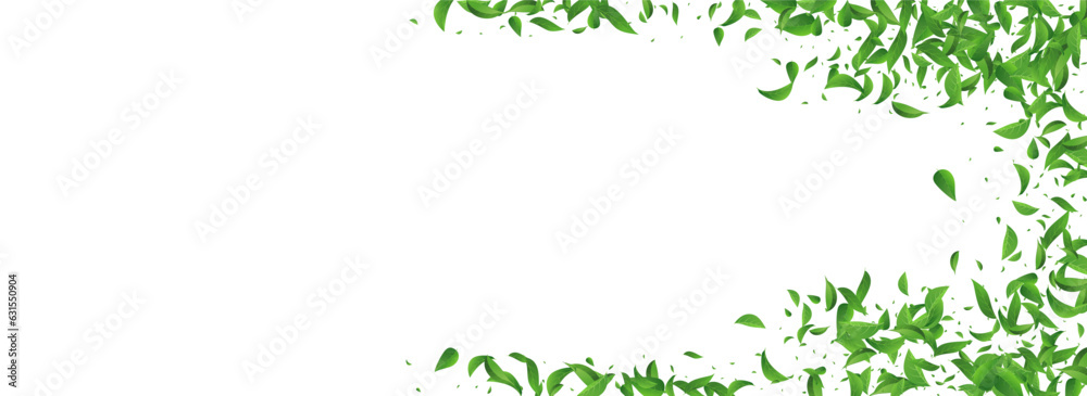 Green Foliage Falling Vector Panoramic White Green Foliage Falling Vector Panoramic White