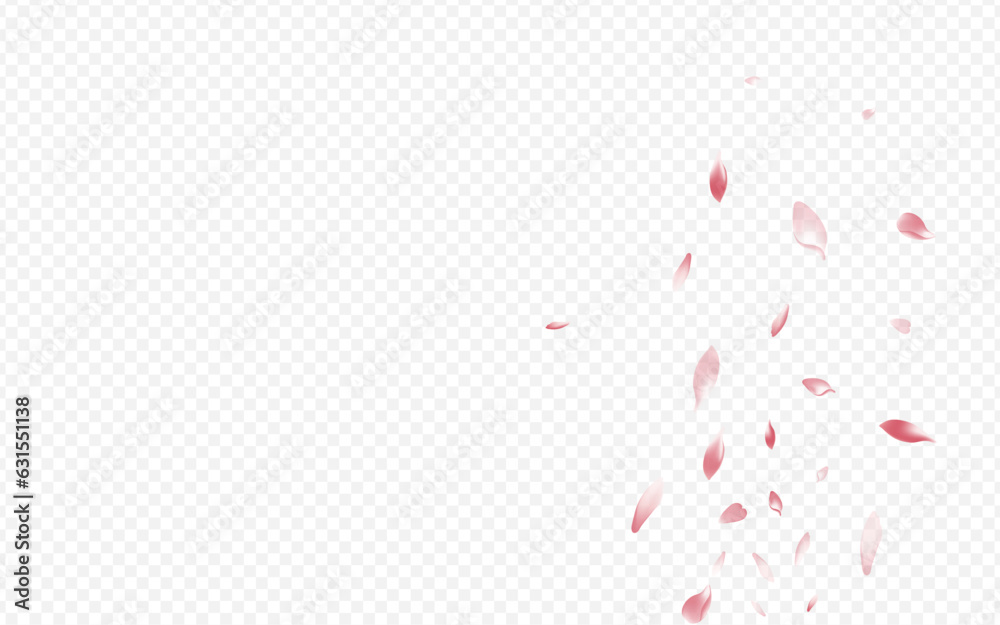 Pink Blooming Vector Transparent Background. Rosa
