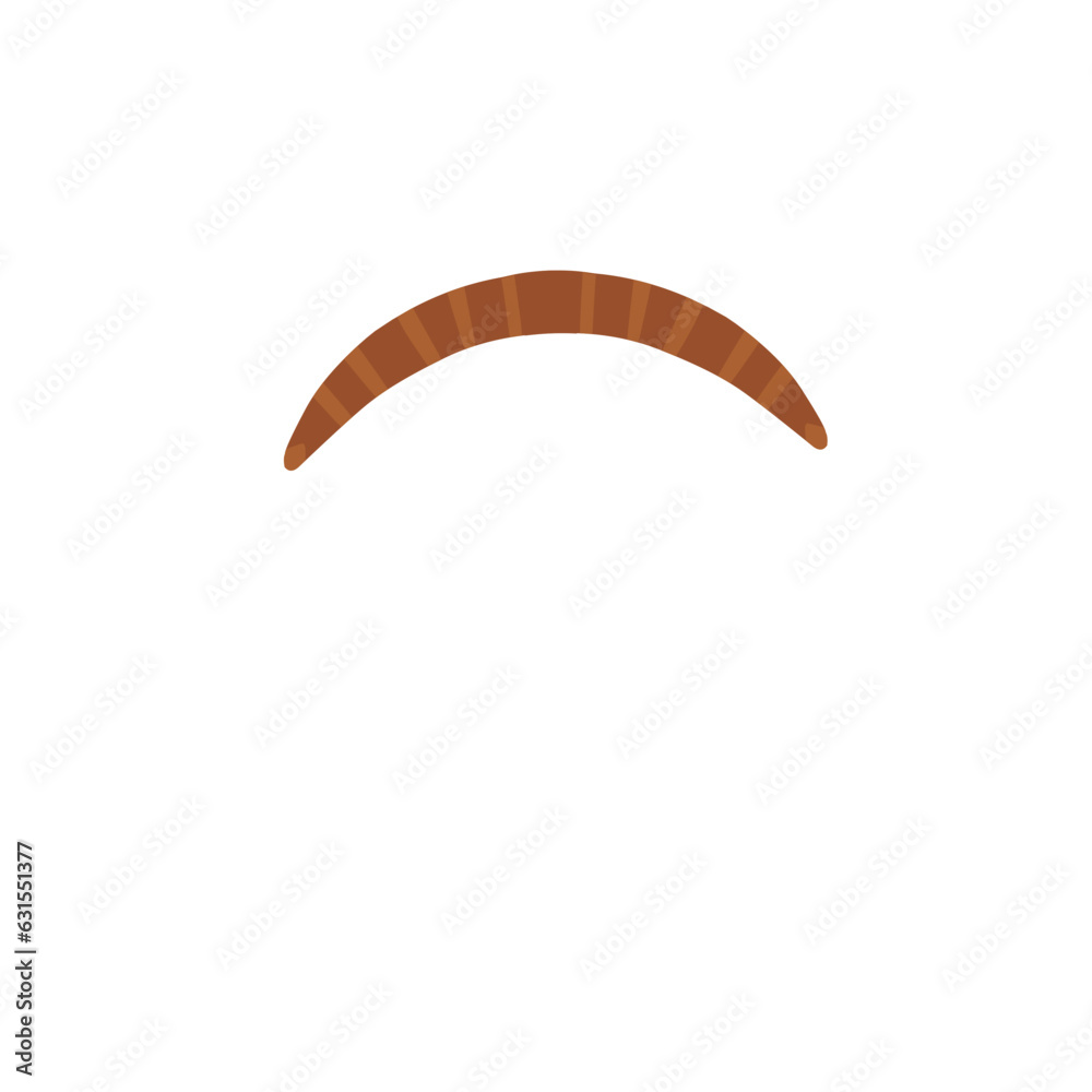 Traditional wooden boomerang Traditional wooden boomerang