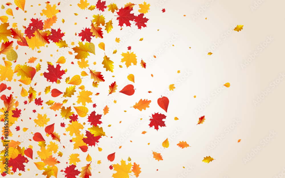 Yellow Foliage Vector Transparent Background.