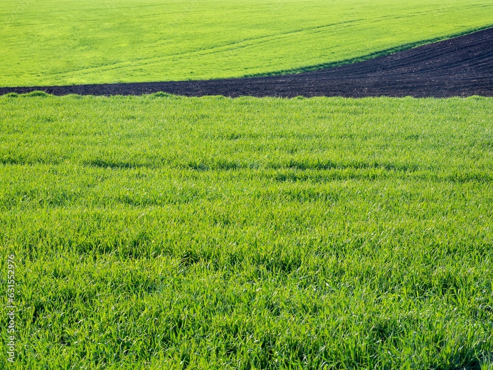Lush green landscape with a grassy green valley near dark dirt Lush green landscape with a grassy green valley near dark dirt
