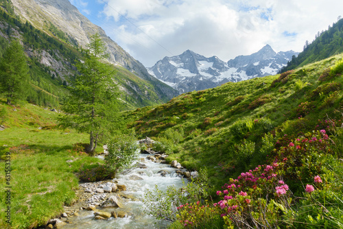 Wildbach mit Alpenrosen am Rand und Blick auf einen Gletscher