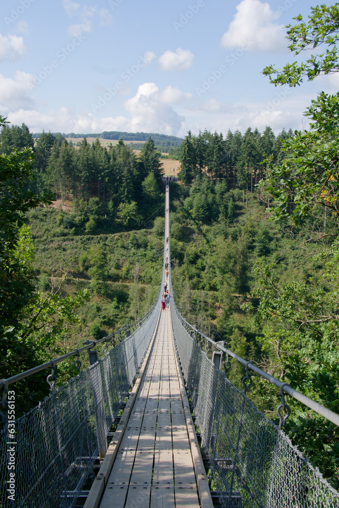 Obraz premium Geierlay