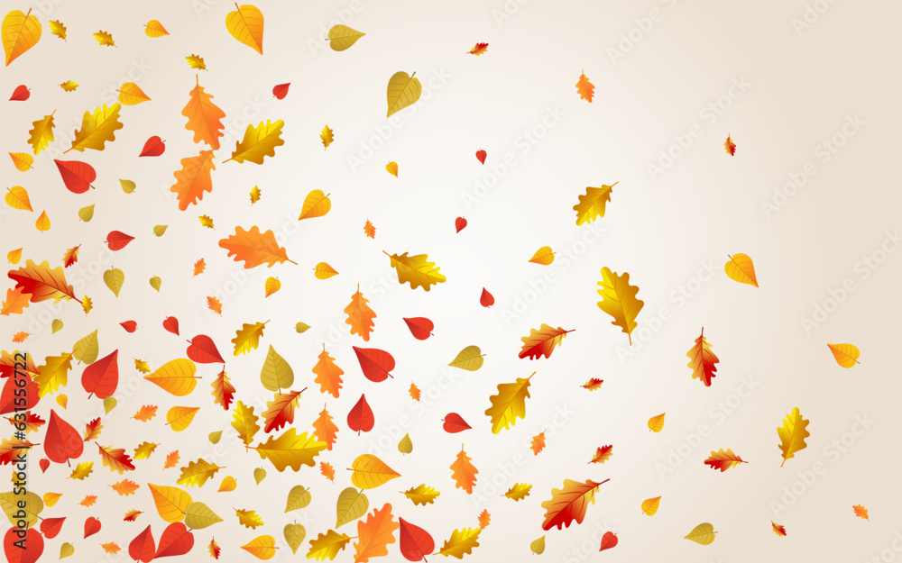 Autumnal Floral Vector Transparent Background. Autumnal Floral Vector Transparent Background.