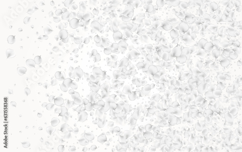 Gray Blossom Vector Light Background. Snowy Japan