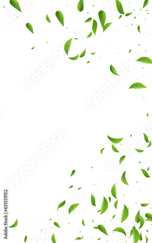 Lime Greens Wind Vector White Background