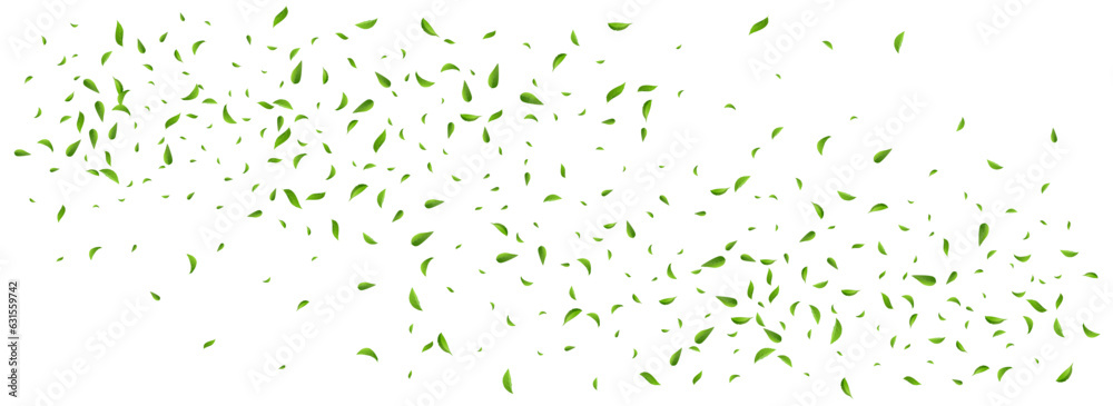 Olive Greens Wind Vector Panoramic White Olive Greens Wind Vector Panoramic White
